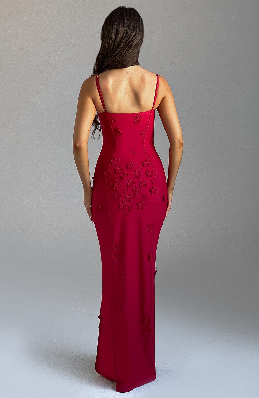 Dalary Red Lined Maxi Dress in XS - back view