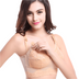 MagicLift Lace Plus Size Wire-Free Nursing Bra - Beige